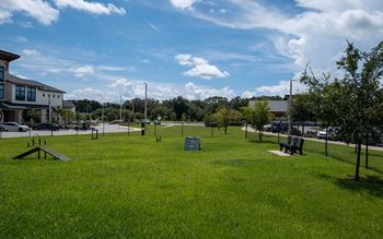 Dog park